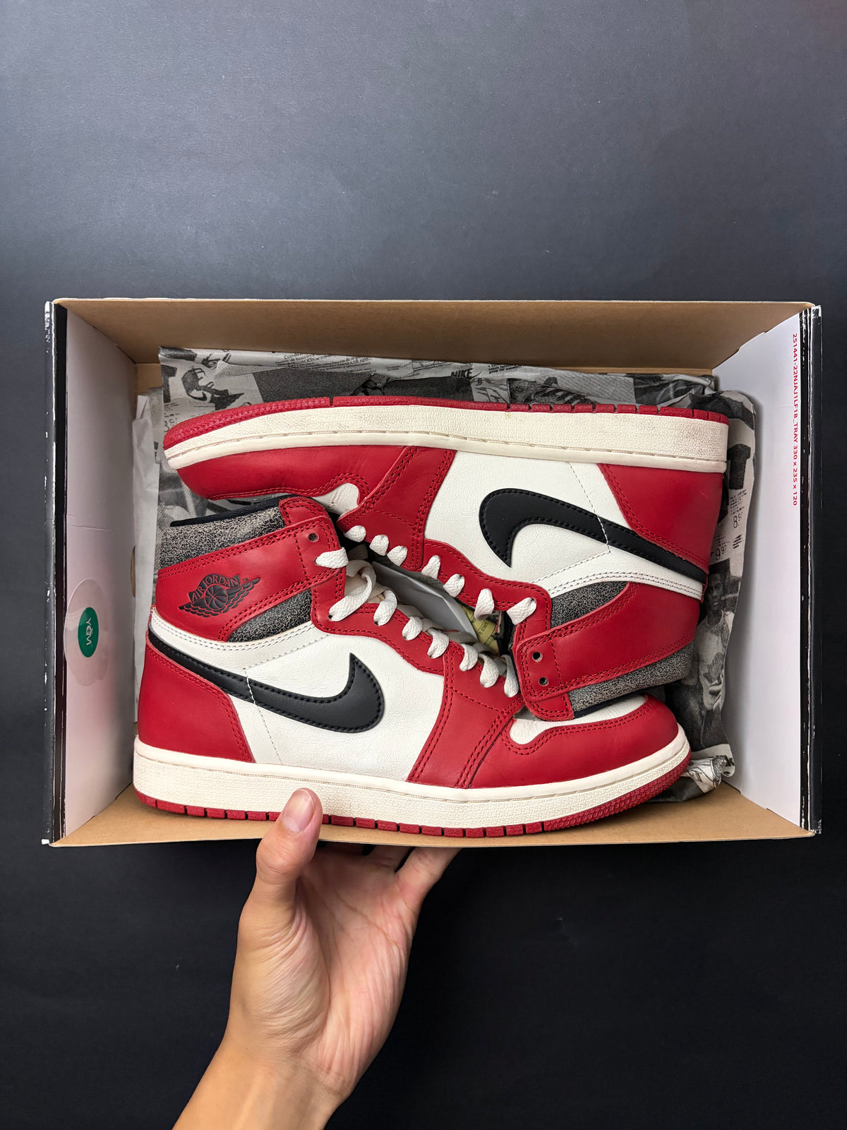 Jordan 1 Retro High OG Chicago Lost and Found (US 8.5) - USED