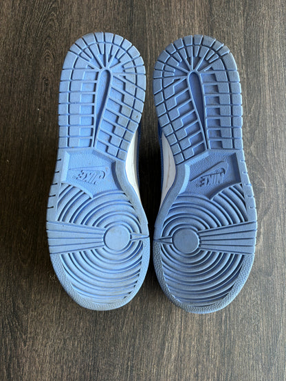 Nike Dunk Low Polar Blue (US 8)