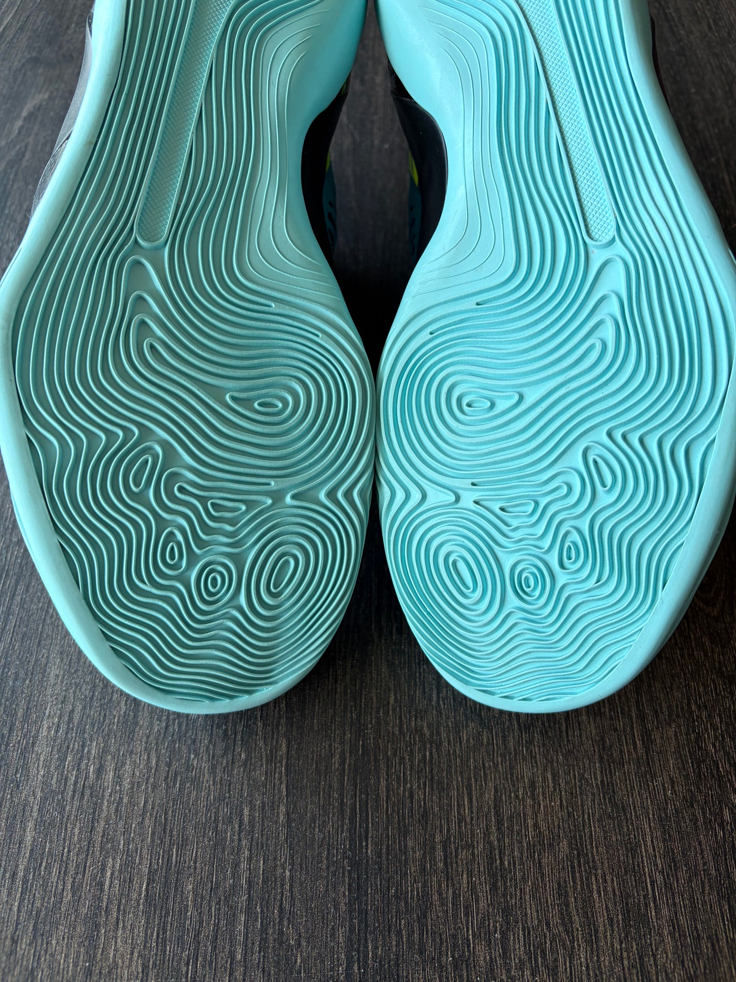 Nike Kobe 9 Elite Low Protro Perspective (US 8)