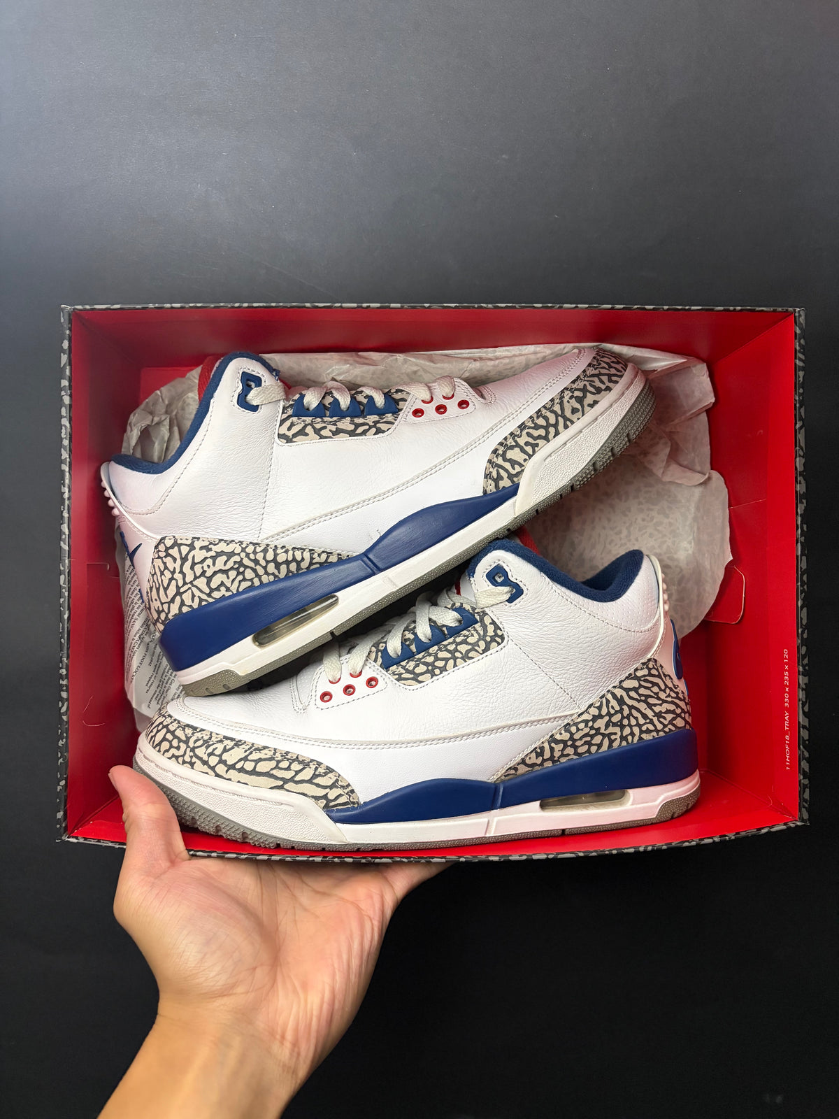 Jordan 3 Retro True Blue (2016) (US 9) - USED