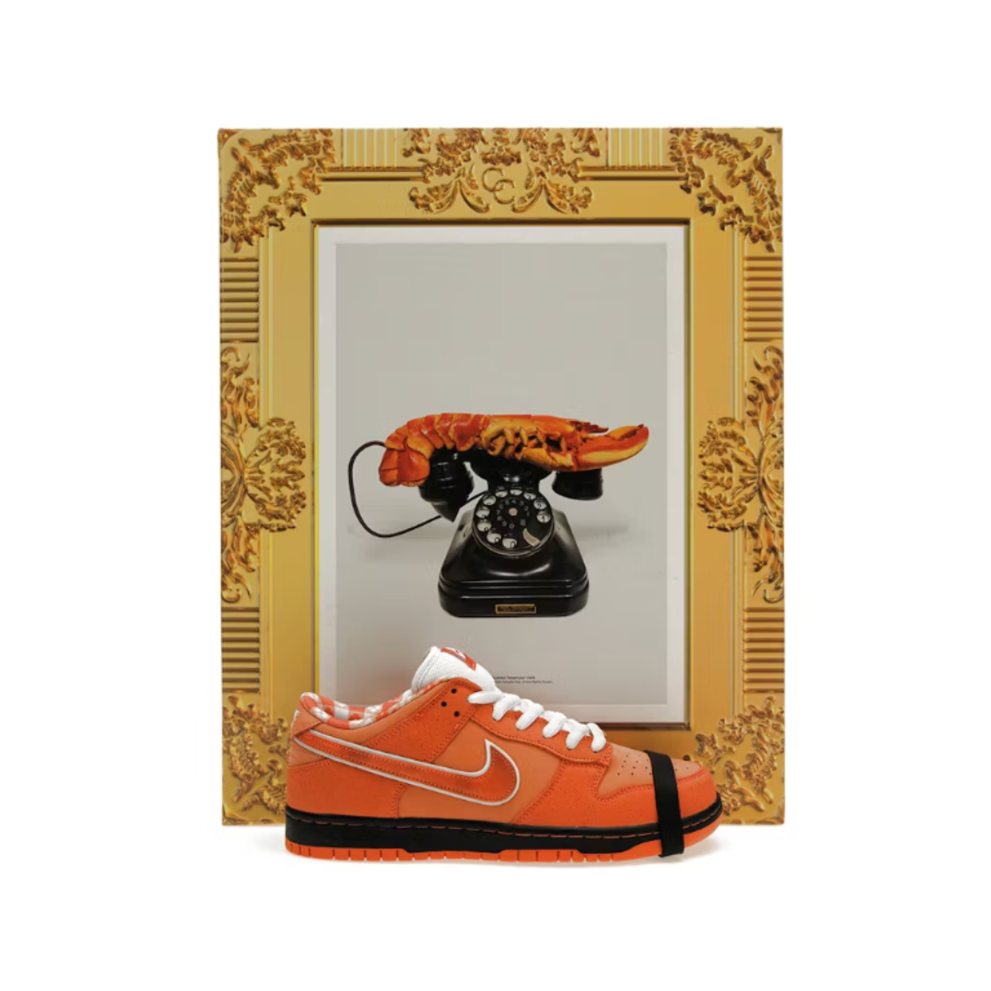 nike_sb_dunk_low_concepts_orange_lobster_1
