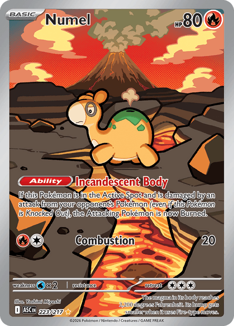 Numel (me02.5#223)